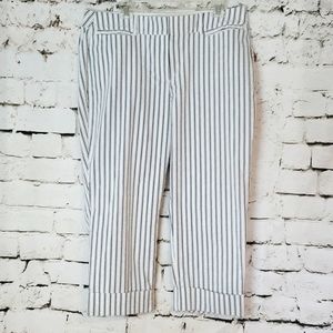 Lane Bryant The Lena Pant 18